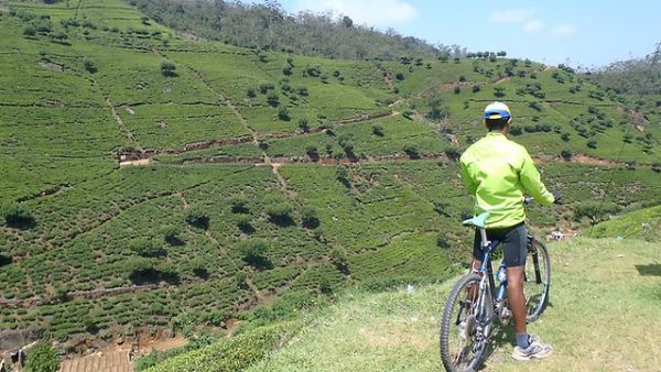 Mountain biking Sri lanka