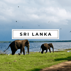 Sri Lanka Travel Guide
