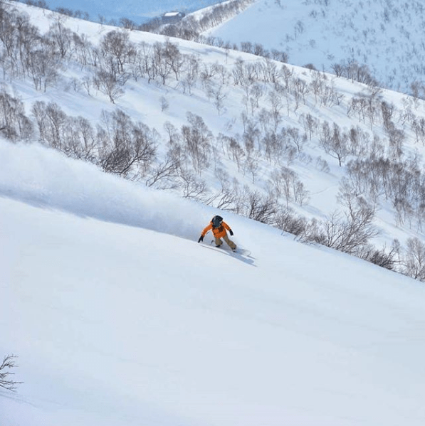 niseko skiing
