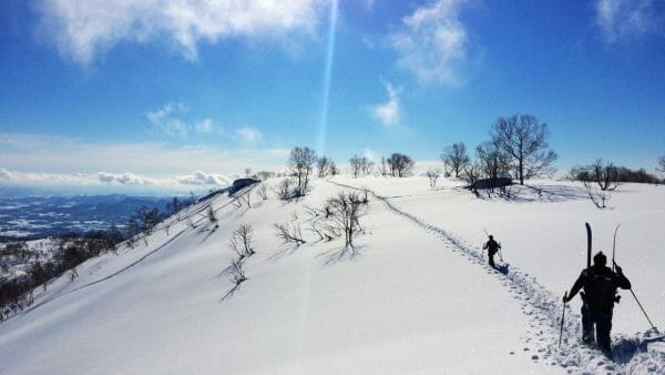 Niseko Ski Guide