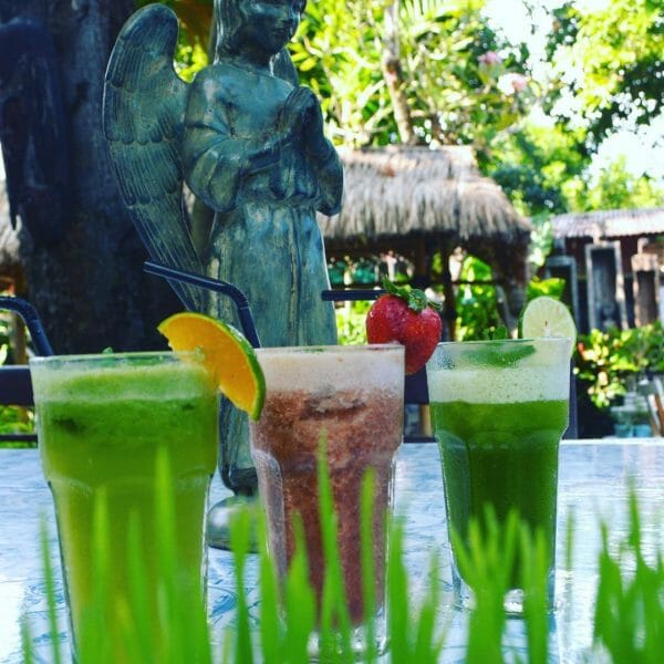 organic eats seminyak