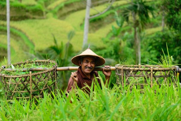 day trip to Ubud from Seminyak