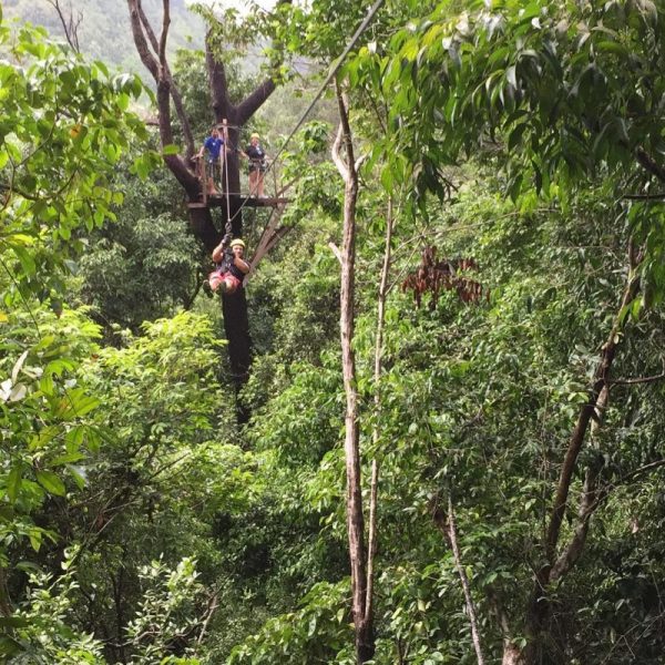 Canopy Adventure in Koh Samui