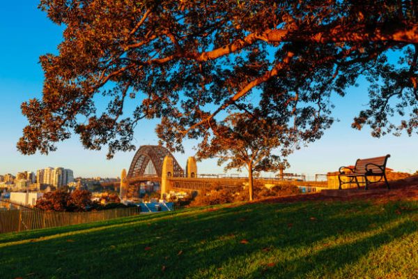 autumn in sydney