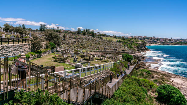 Coastal walk in Sydney