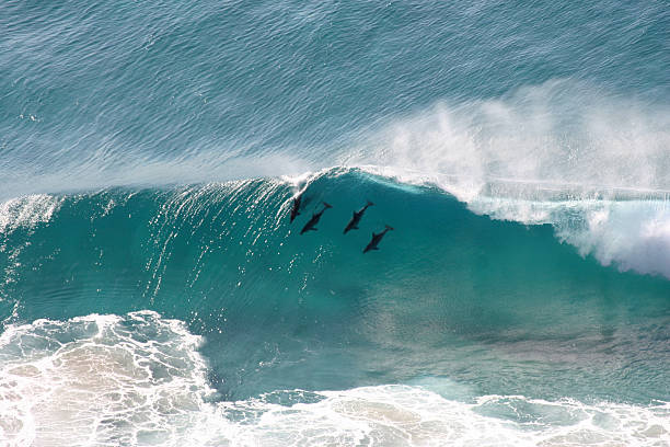 go kayaking with kids in byron bay