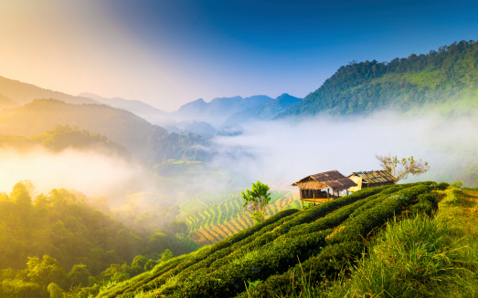 trekking in chiang mai