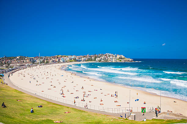 Check out Bondi Beach