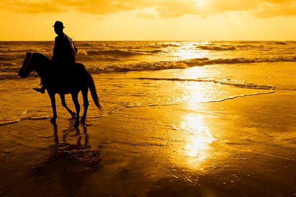 horseback riding in hua hin with kids