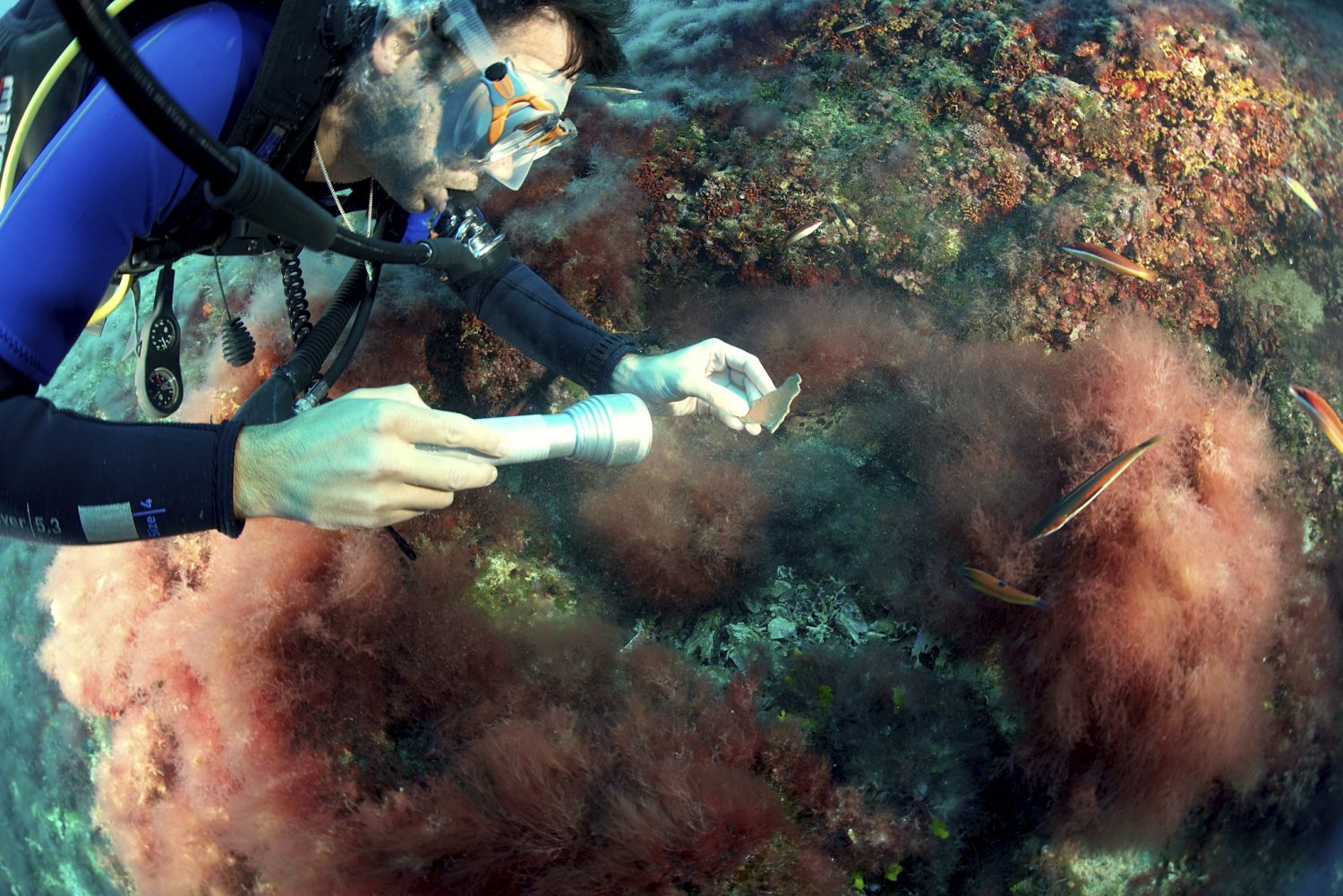 Scubadiving