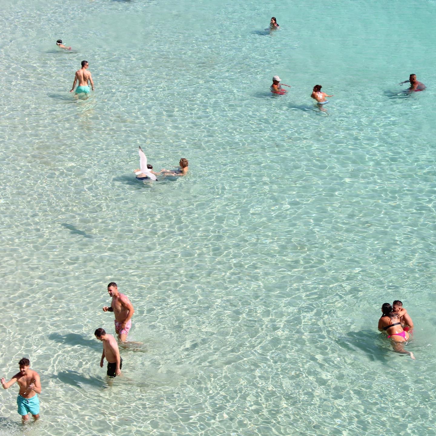cala-tarida