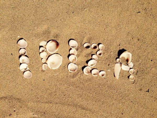 Ibiza Family holiday