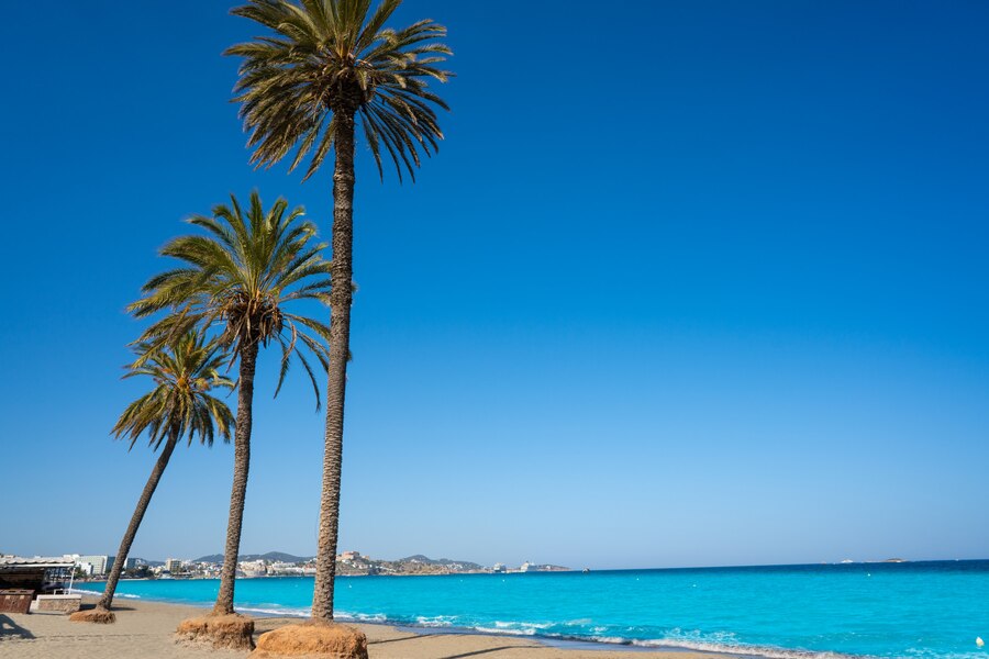 ibiza-playa-d-en-bossa-beach-balearic-islands_79295-19335