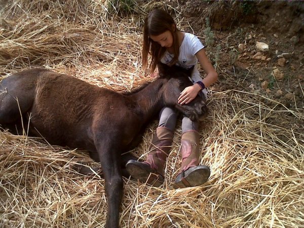 Horse riding is a fun activity to do in Ibiza.