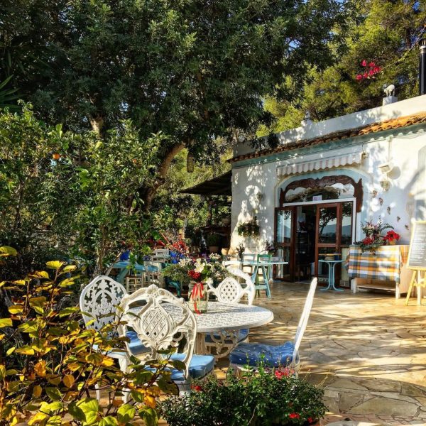 Best lunch cafe ibiza