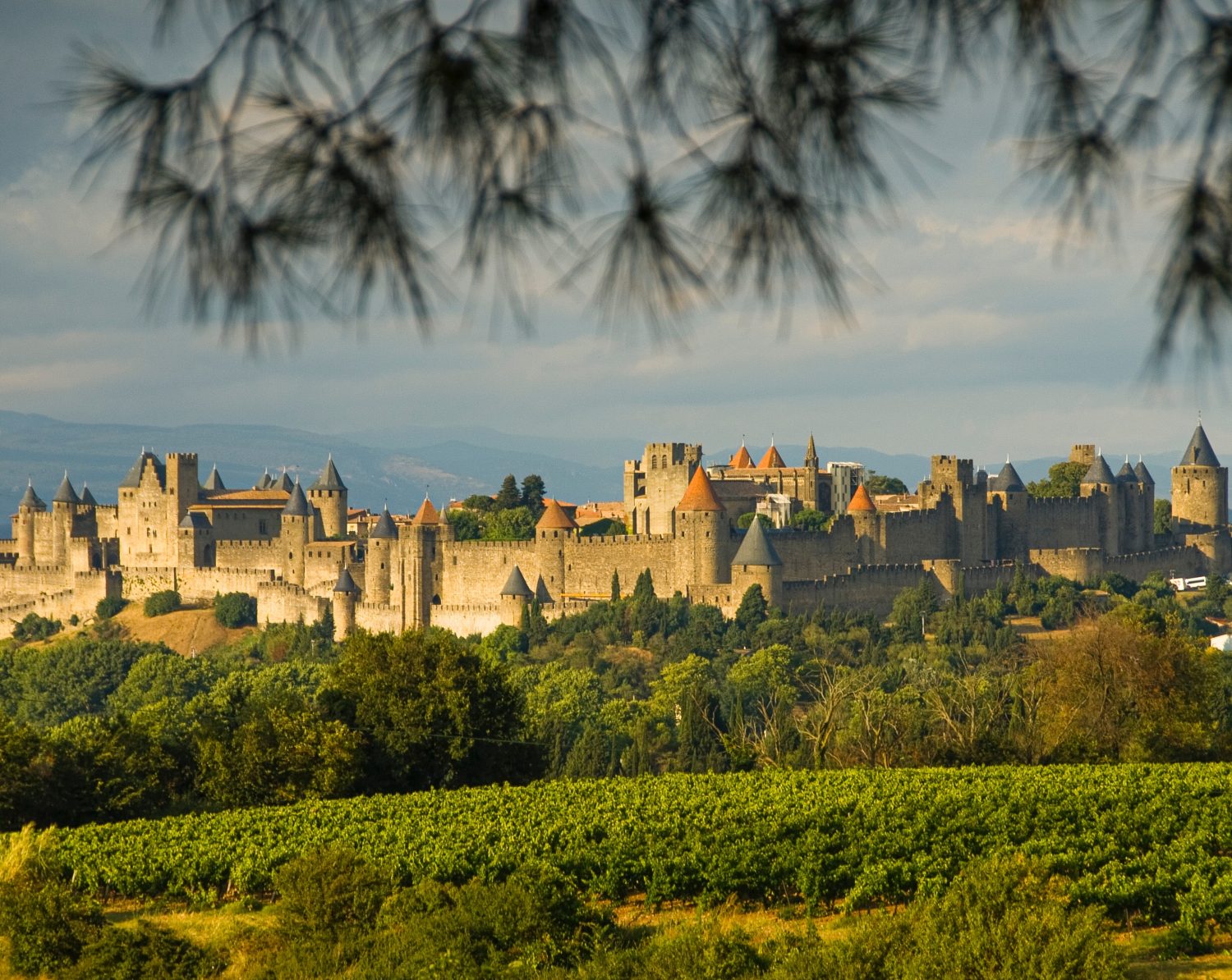 stunning Carcassonne
