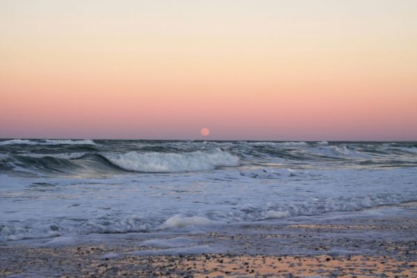 summer activities in Ibiza - kayaking under the full moon