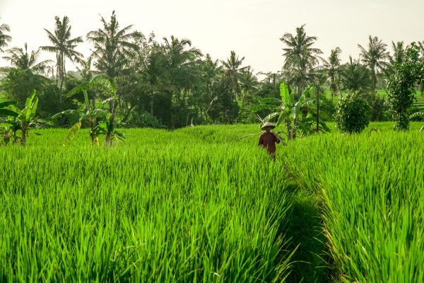 villa finder's commitment to sustainability