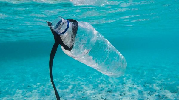 water pollution