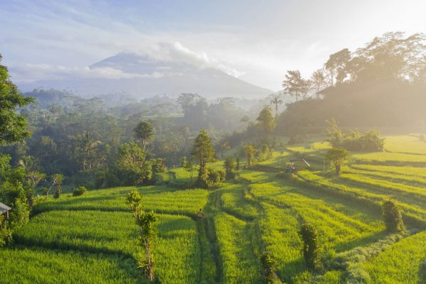 Mount Agung sunrise - Waste Management for villa owners