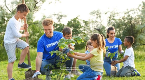 Volunter holidays activities_ planting trees