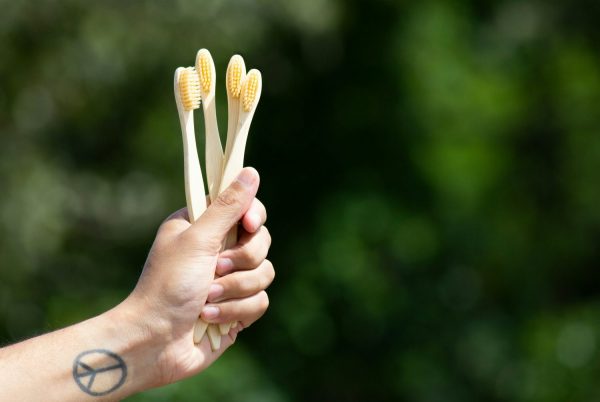 sustainable products for villa owners
