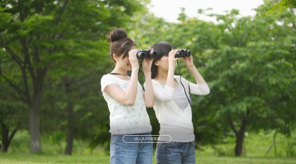 Birdwatching and Nature Walks for Ethical Activities Ideas