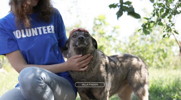 Support Local Conservation Efforts to Promote Animal Welfare