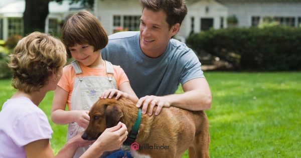 Top Ways to Promote Animal Welfare at Your Villa