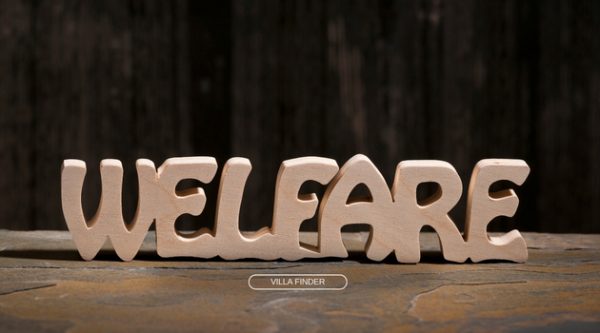 What is Animal Welfare?