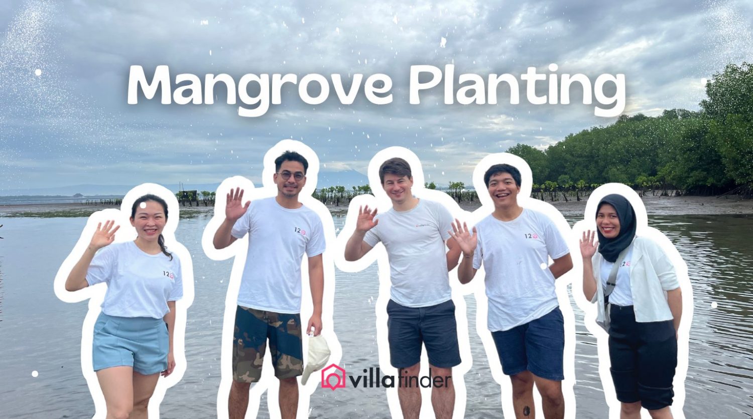 Mangrove Planting by Villa Finder Team