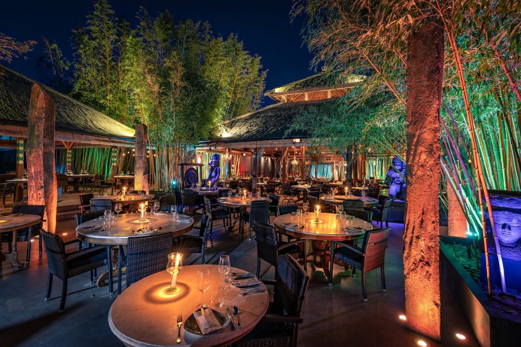 bambuddha fusion food