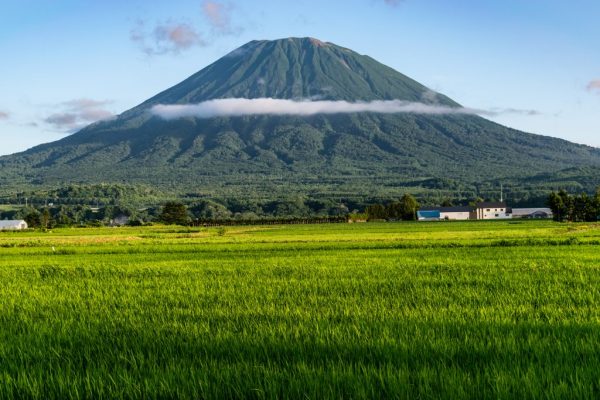 mount yotei