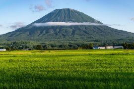 niseko in the summer