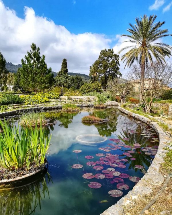 Things to do in Soller - Gardens