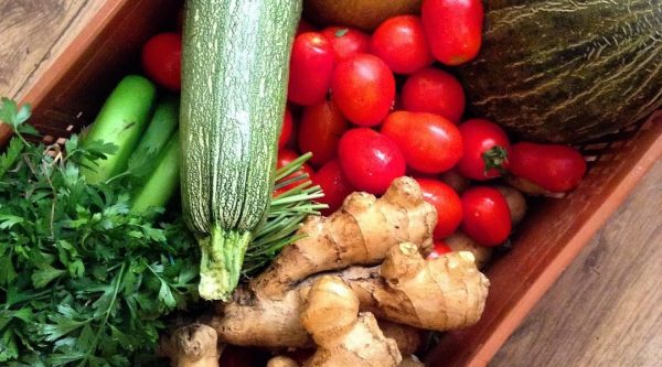 Family-friendly Restaurants in Mallorca
