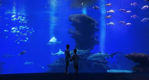 Palma Aquarium