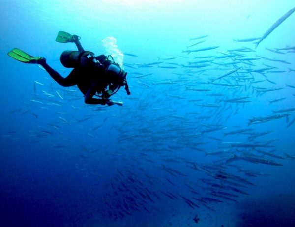 diving in majorca