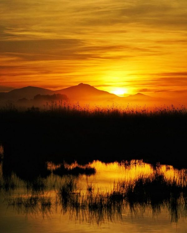 Things to do in Alcudia
