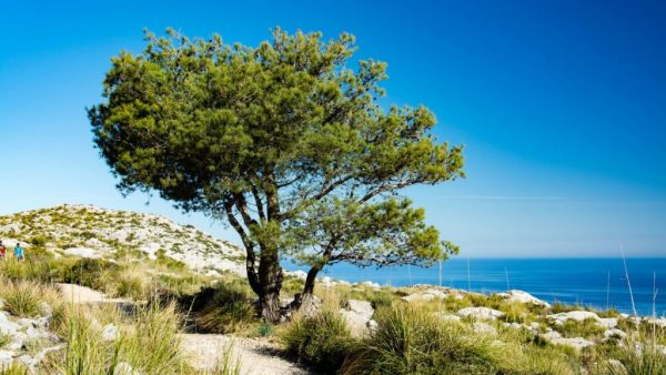 hiking in majorca