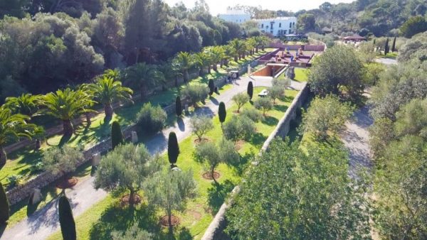 What to do in Alcudia