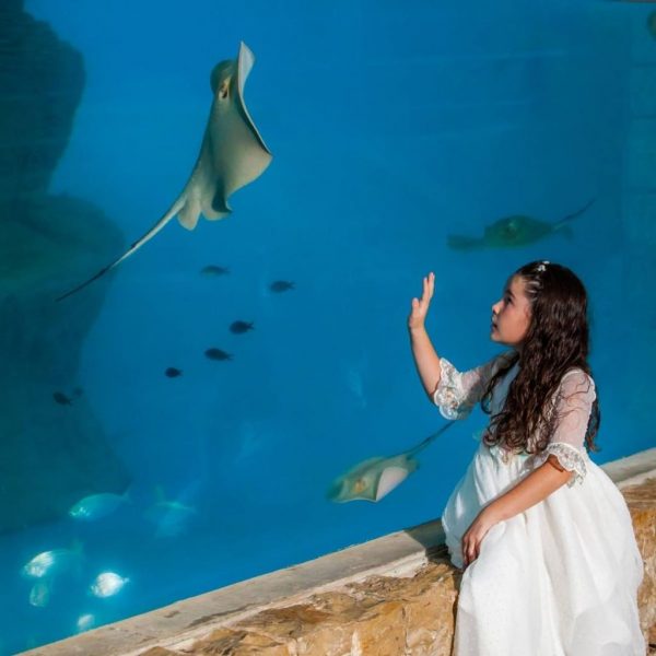 kids love to see beautiful sea creatures, take them to aquarium.