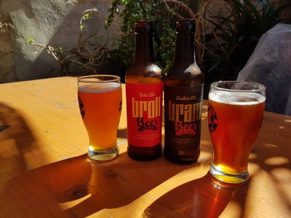 Visit local brewery in Alcudia