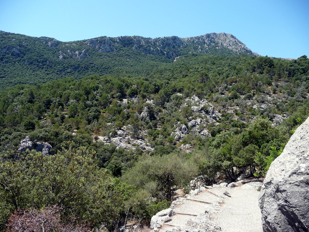 unspoiled rural beauty and spot lots of animals