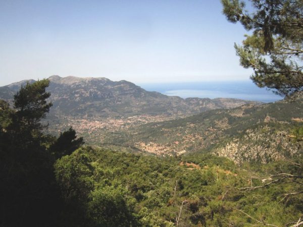 great hiking spot for bird watchers.