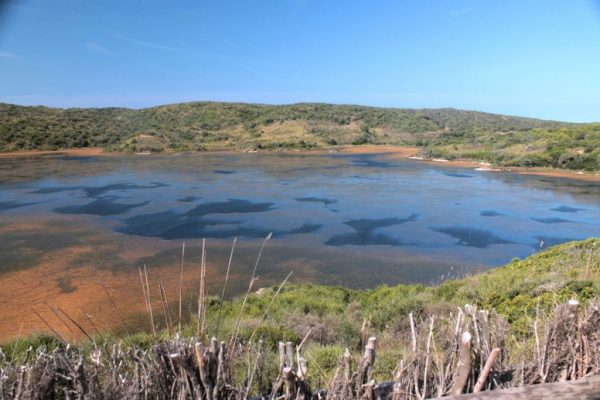 witness the beautiful home to all kinds of birds by exploring S'Albufera National Park.