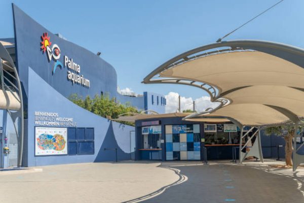 Palma Aquarium - child-friendly activities in mallorca