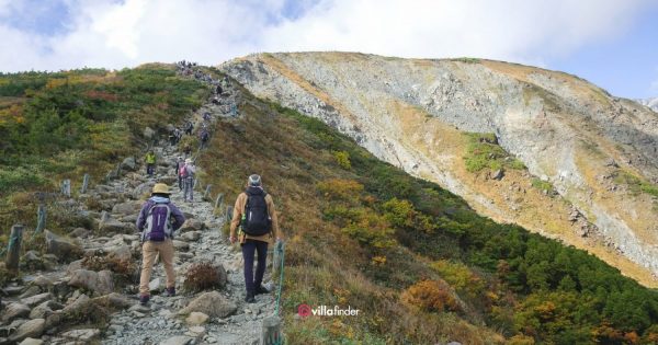 Summer in Hakuba Highlights_ Dining Guide, Onsen Guide & Mountain Views