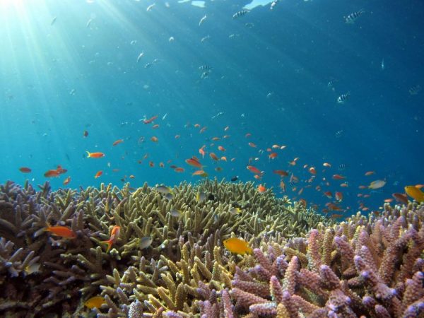 best snorkelling in Mallorca