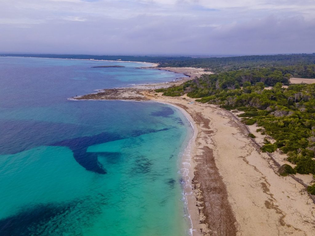 Es Trenc Beach